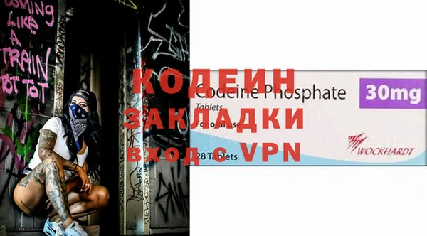 индика Балахна