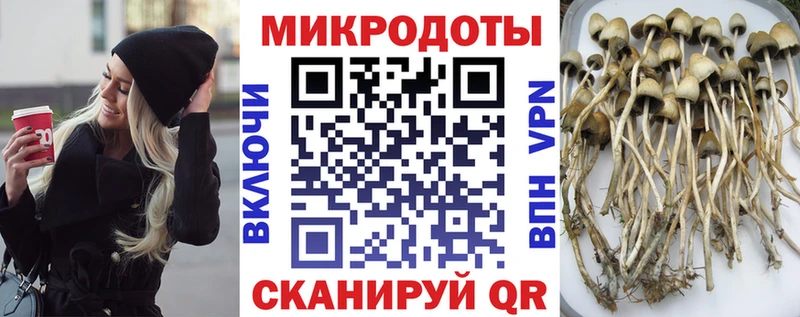Галлюциногенные грибы Magic Shrooms  Сегежа 